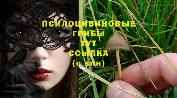 дурь Новокубанск