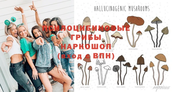 дурь Новокубанск