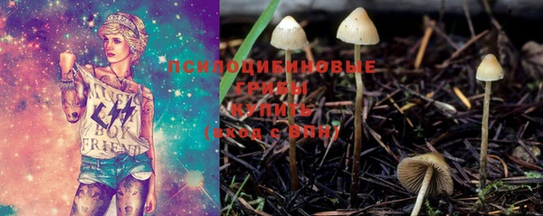 стафф Абинск