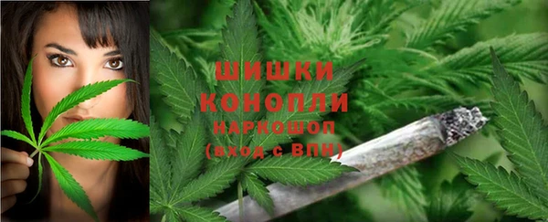 дурь Новокубанск