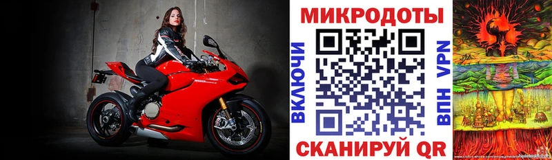 цена наркотик  Алдан  Галлюциногенные грибы мицелий 